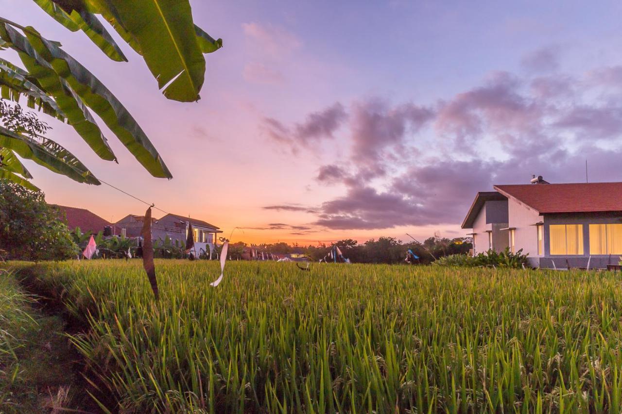 Charming Ricefield View 3 Bedrooms Villa Canggu Kültér fotó